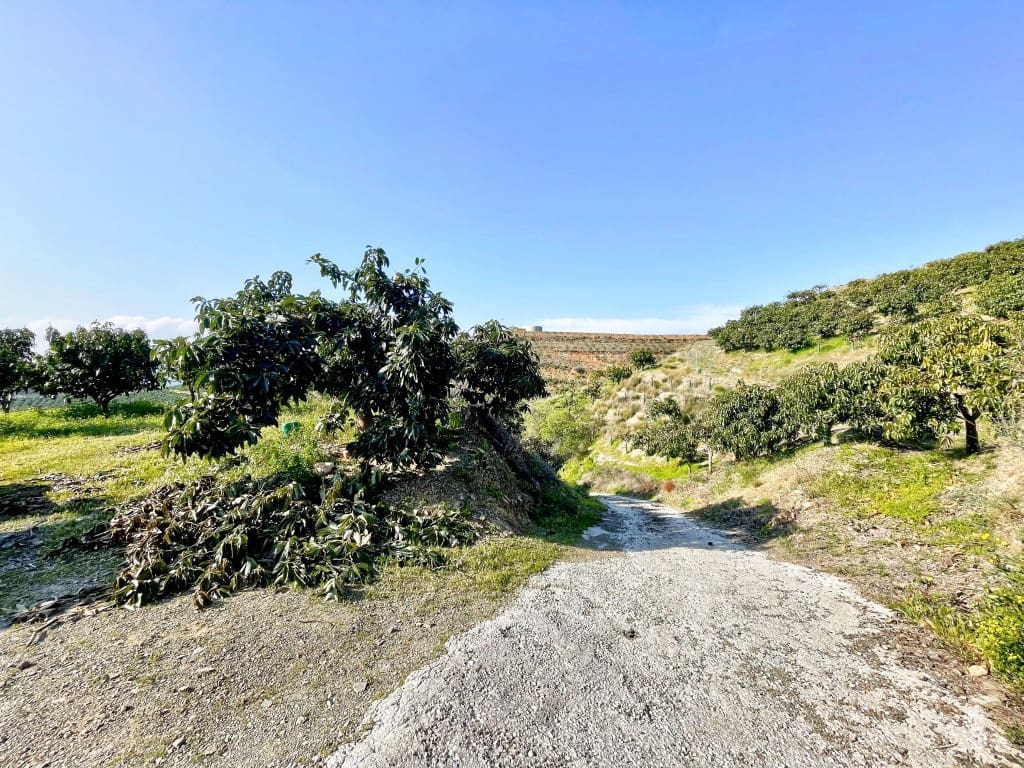 4 camera da letto Finca/Casa di Campagna in vendita in Velez-Malaga - 650.000 € (Rif: 9689966)