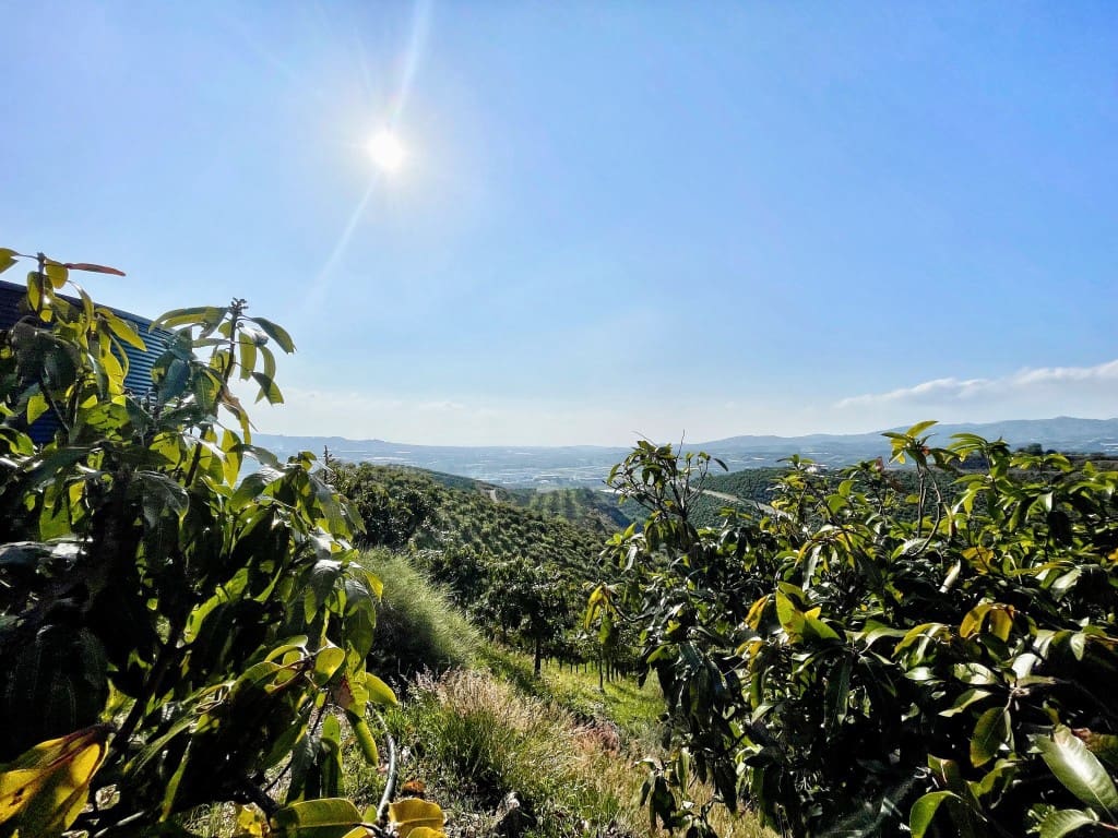 4 camera da letto Finca/Casa di Campagna in vendita in Velez-Malaga - 650.000 € (Rif: 9689966)