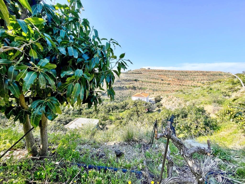 4 camera da letto Finca/Casa di Campagna in vendita in Velez-Malaga - 650.000 € (Rif: 9689966)