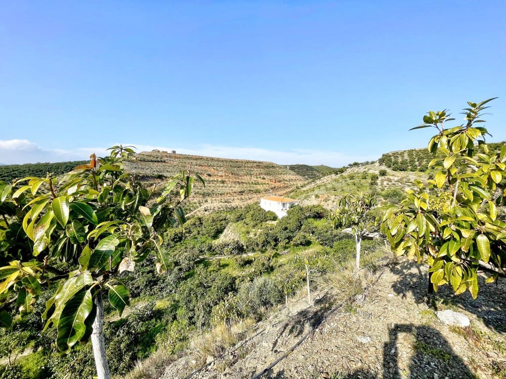 4 camera da letto Finca/Casa di Campagna in vendita in Velez-Malaga - 650.000 € (Rif: 9689966)