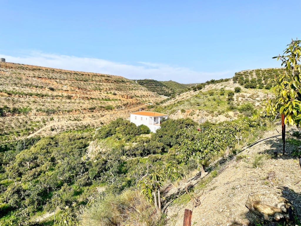 4 camera da letto Finca/Casa di Campagna in vendita in Velez-Malaga - 650.000 € (Rif: 9689966)