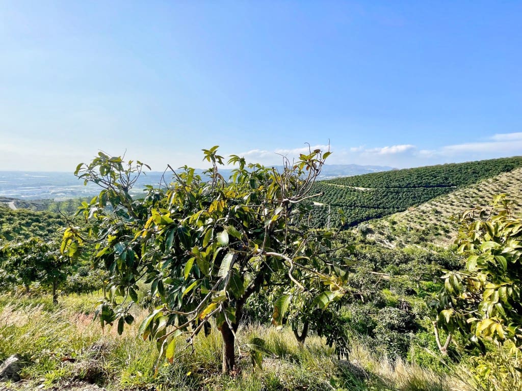 4 camera da letto Finca/Casa di Campagna in vendita in Velez-Malaga - 650.000 € (Rif: 9689966)