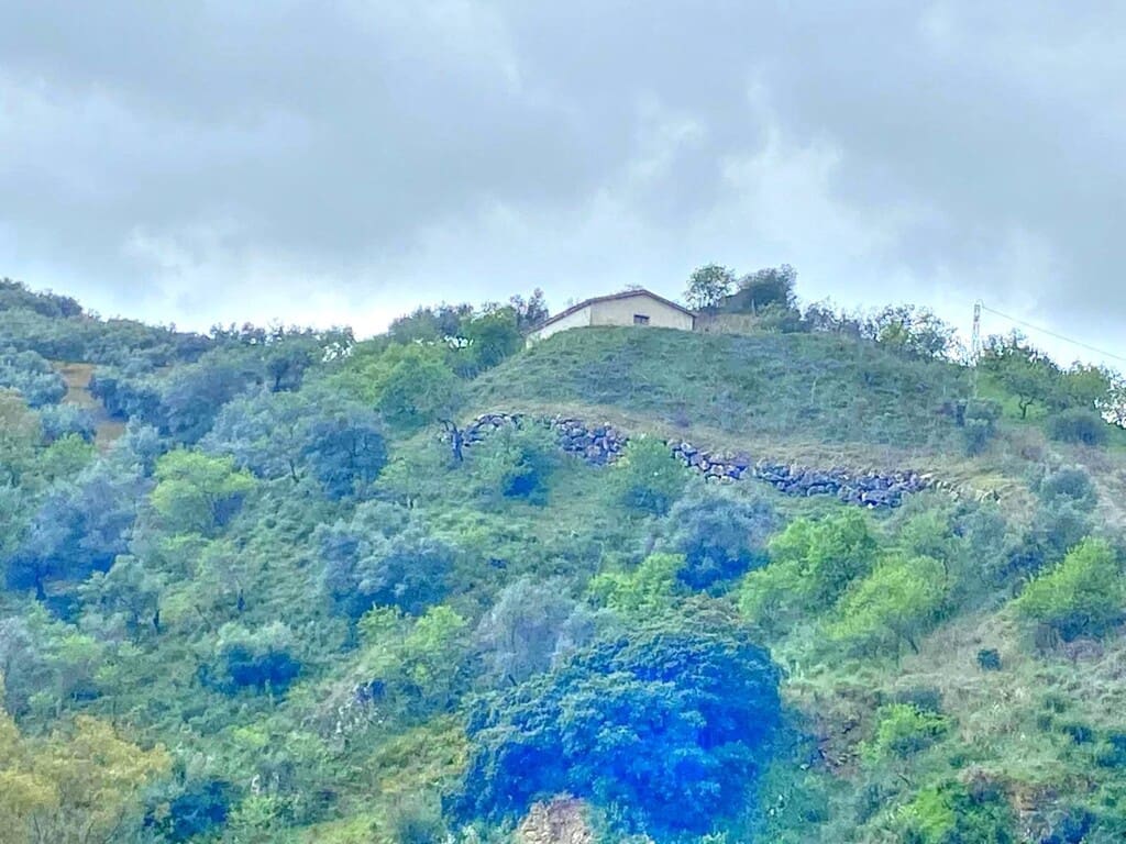 Finca/Herregård til salgs i Colmenar - € 220 000 (Ref: 9714442)