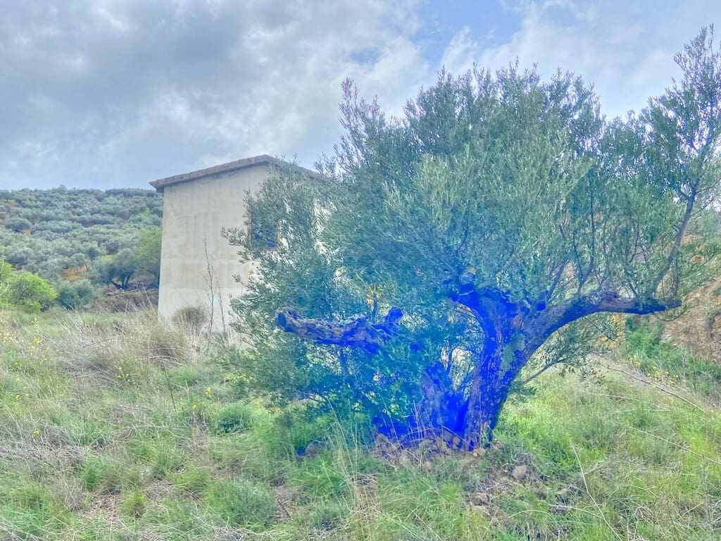 Finca/Herregård til salgs i Colmenar - € 220 000 (Ref: 9714442)