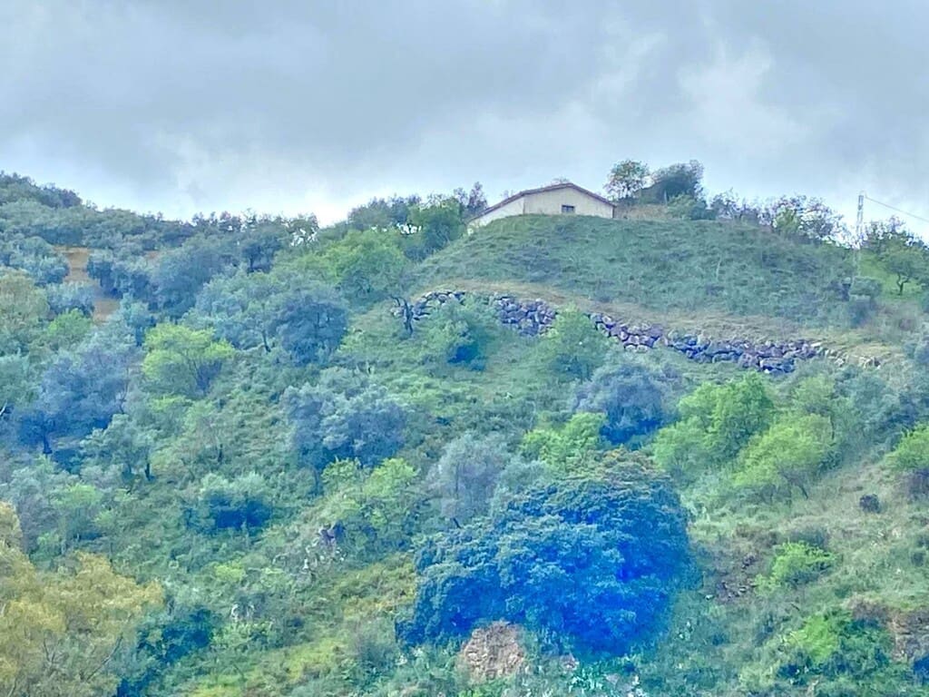 Finca/Herregård til salgs i Colmenar - € 220 000 (Ref: 9714442)