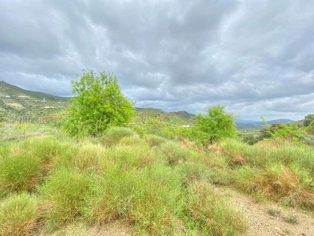 Finca/Herregård til salgs i Colmenar - € 220 000 (Ref: 9714442)