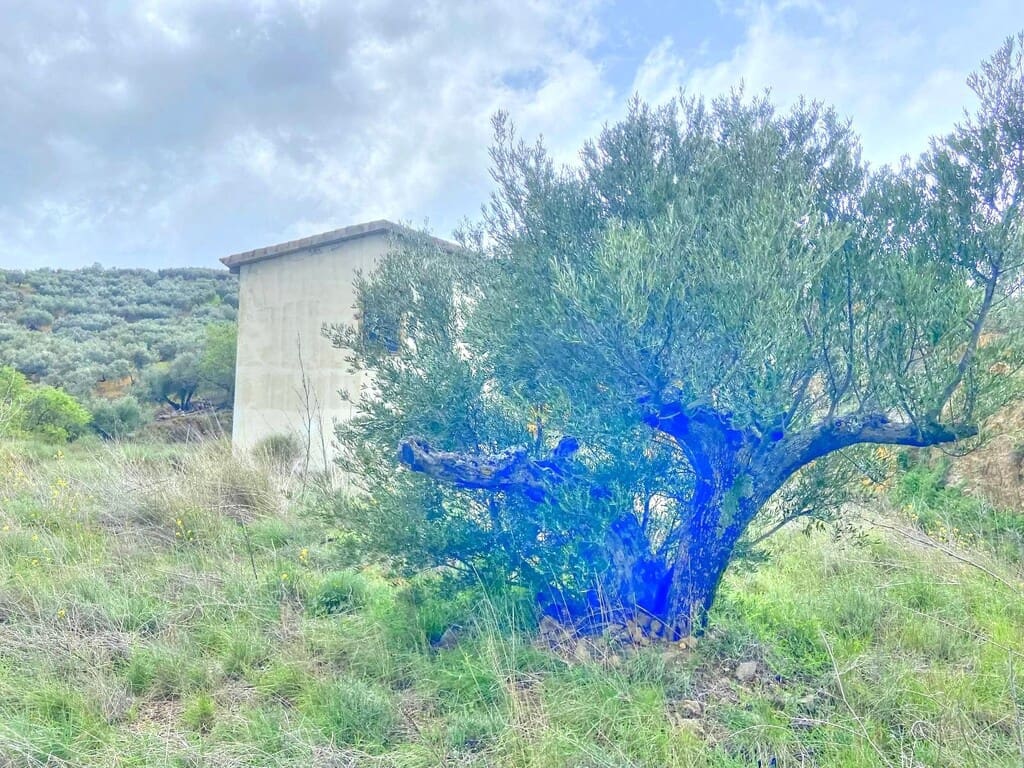 Finca/Herregård til salgs i Colmenar - € 220 000 (Ref: 9714442)