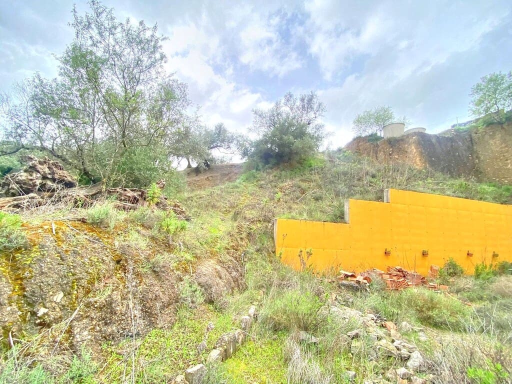 Finca/Herregård til salgs i Colmenar - € 220 000 (Ref: 9714442)