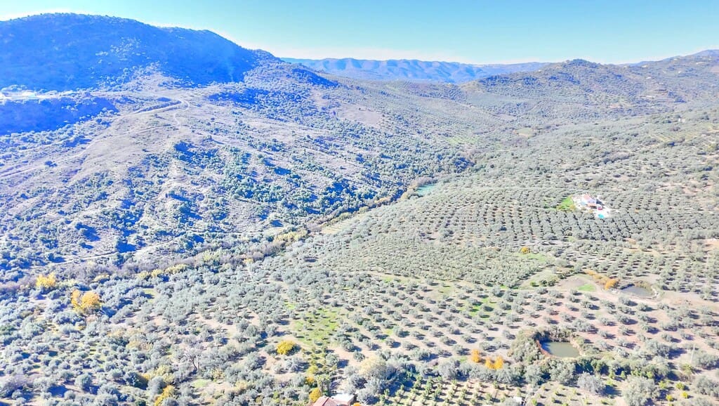 Building Plot for sale in Mondron - € 66,000 (Ref: 9735254)