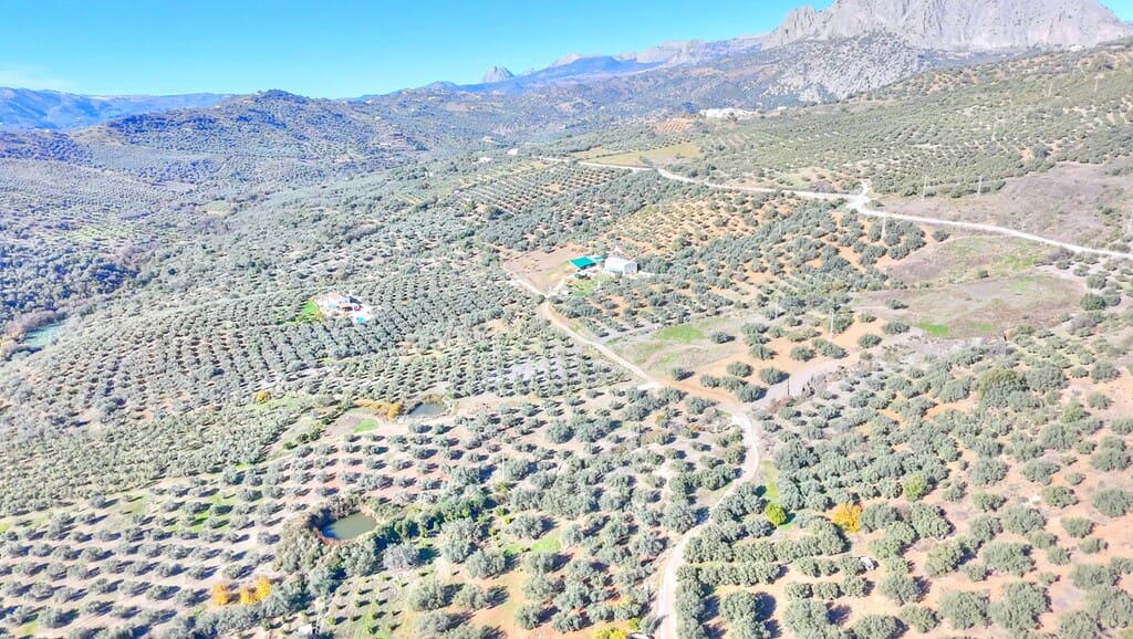 Building Plot for sale in Mondron - € 66,000 (Ref: 9735254)