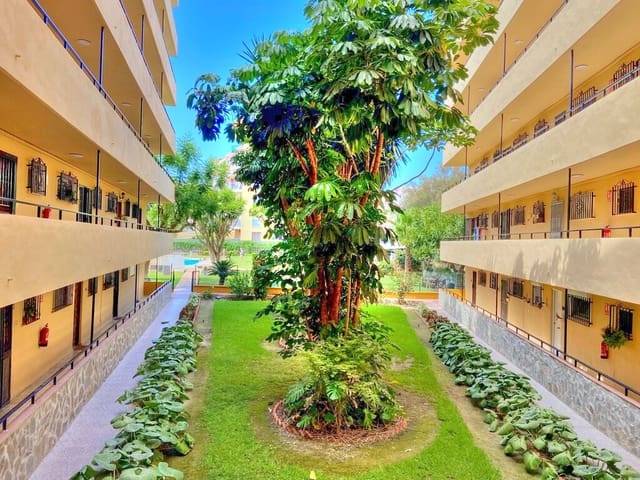 1 quarto Apartamento para arrendar em Benajarafe, Vélez-Málaga com piscina - 700 € (Ref: 9796142)