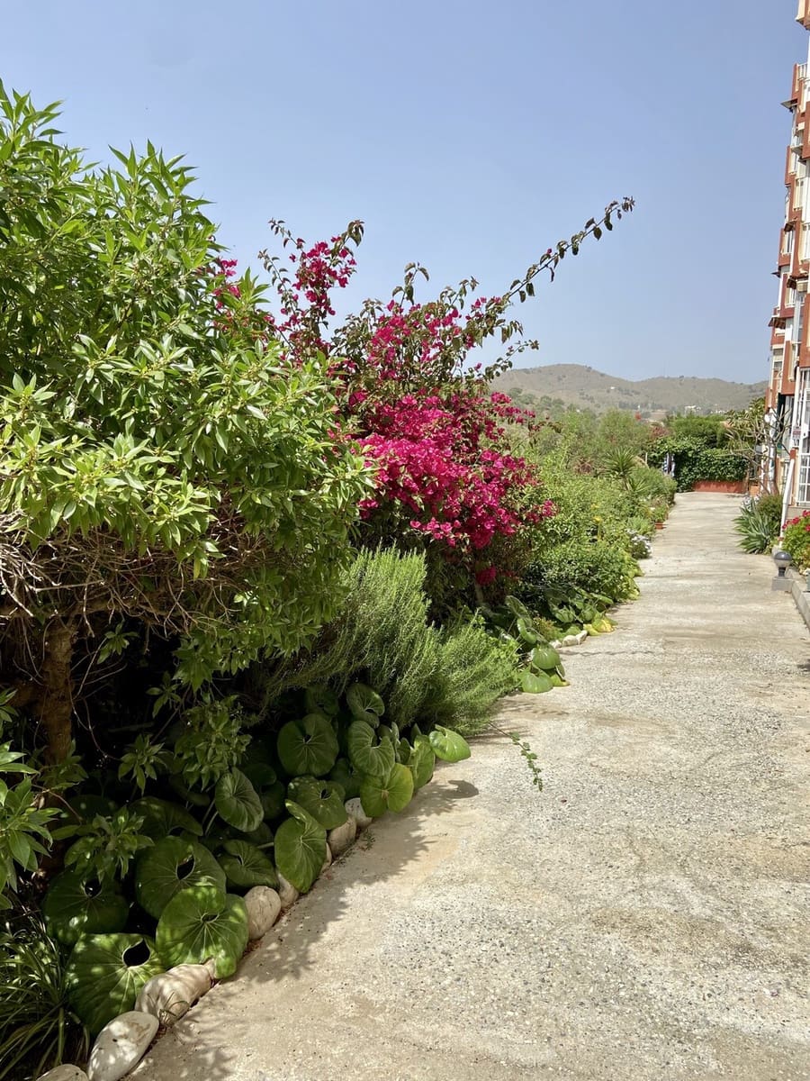 1 quarto Apartamento para arrendar em Benajarafe com piscina - 700 € (Ref: 9796142)