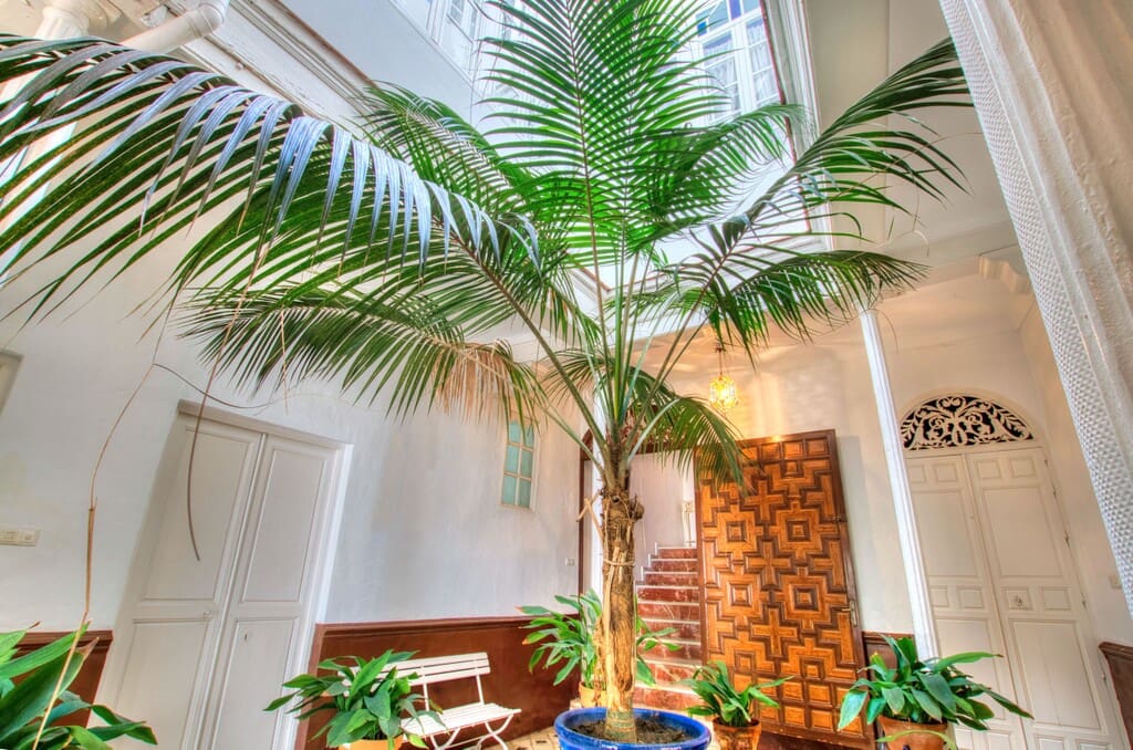 12 chambre Villa/Maison à vendre à Velez-Malaga avec piscine - 1 100 000 € (Ref: 9896260)