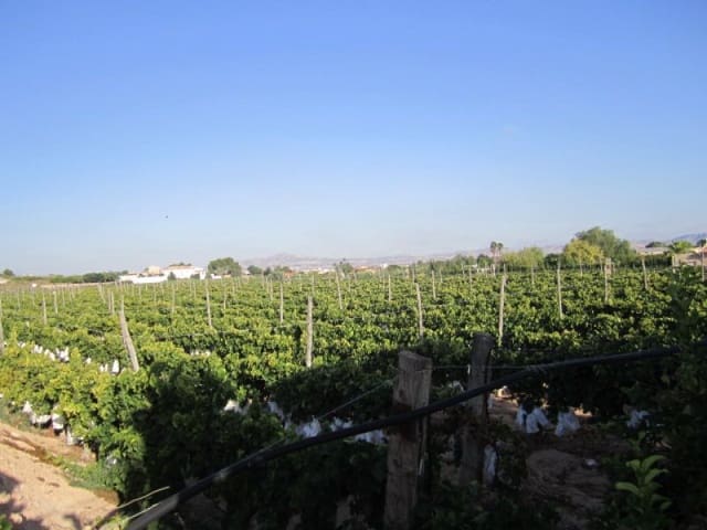Building Plot for sale in Novelda - € 110,000 (Ref: 10059897)