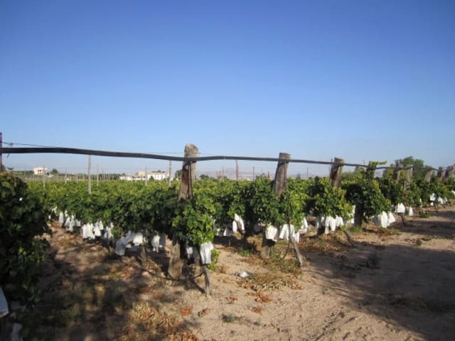 Building Plot for sale in Novelda - € 110,000 (Ref: 10059897)