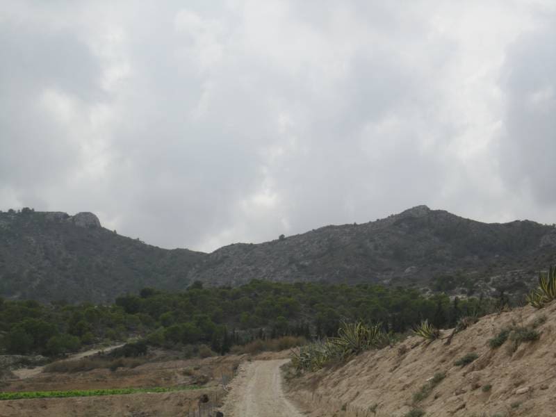 Building Plot for sale in Novelda - € 2,400,000 (Ref: 10059934)