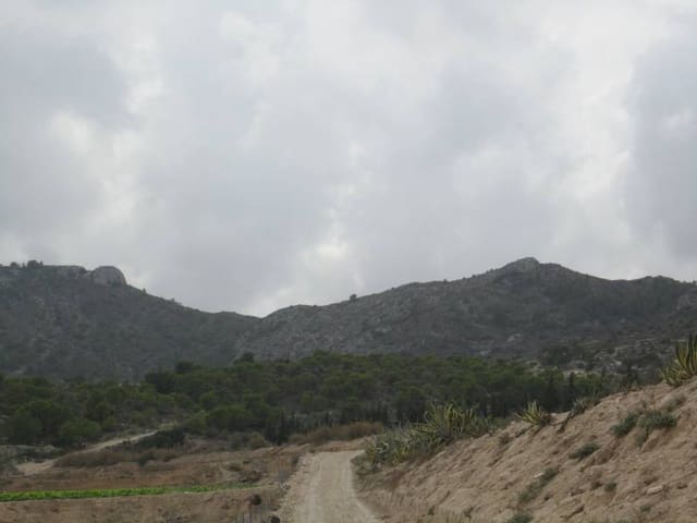 Building Plot for sale in Novelda - € 2,400,000 (Ref: 10059934)