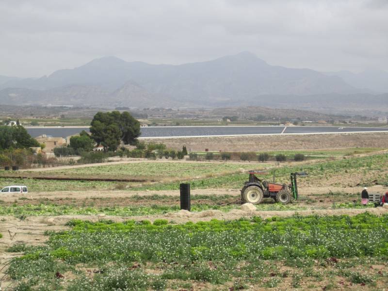 Building Plot for sale in Novelda - € 2,400,000 (Ref: 10059934)