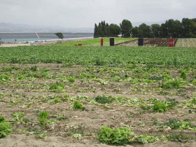 Building Plot for sale in Novelda - € 2,400,000 (Ref: 10059934)