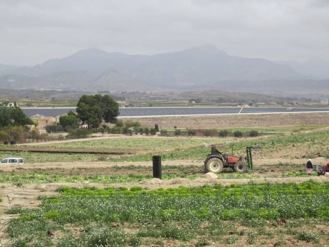 Building Plot for sale in Novelda - € 2,400,000 (Ref: 10059934)