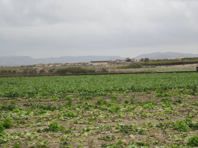 Building Plot for sale in Novelda - € 2,400,000 (Ref: 10059934)