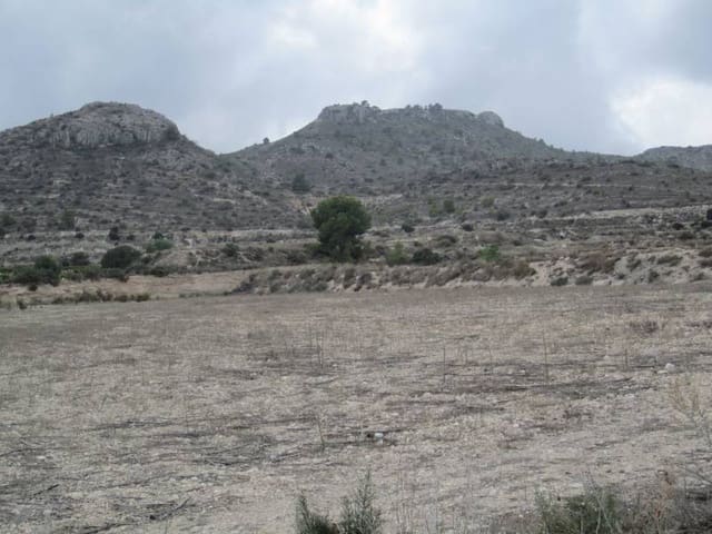 Building Plot for sale in Novelda - € 2,400,000 (Ref: 10059934)