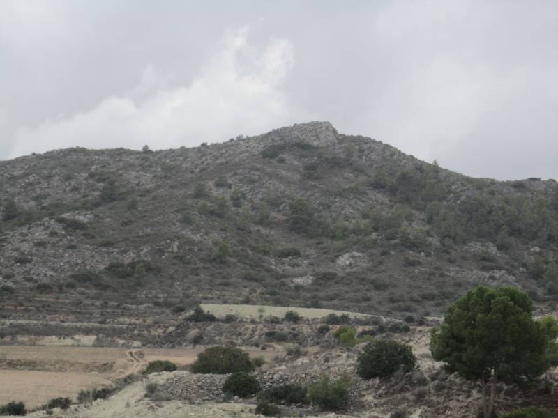 Building Plot for sale in Novelda - € 2,400,000 (Ref: 10059934)