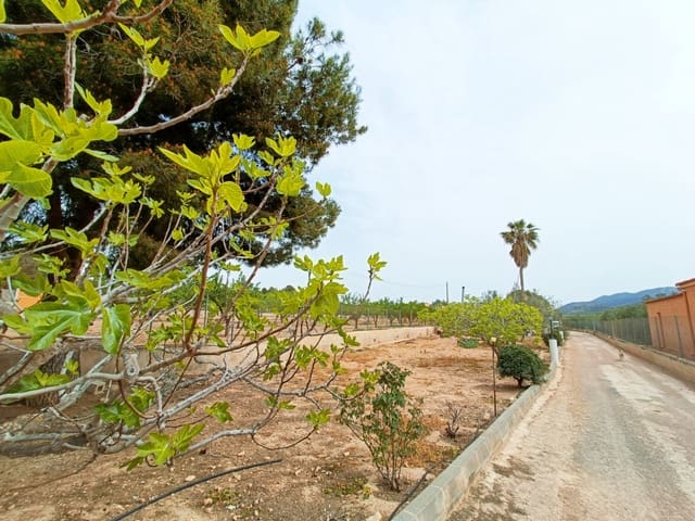 4 bedroom Finca/Country House for sale in Hondón de los Frailes with pool garage - € 180,000 (Ref: 10060362)