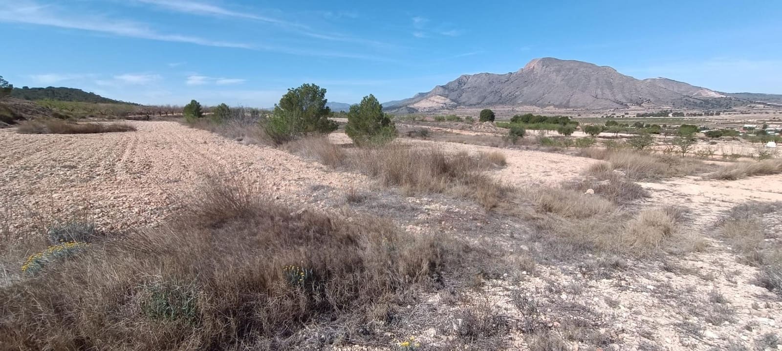 Casa Cueva en Orihuela en venta - 95.000 € (Ref: 10060367)