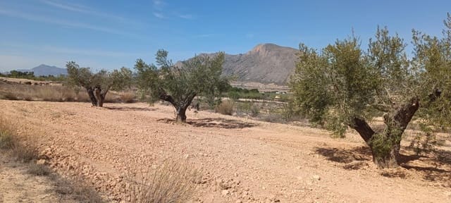 Casa Cueva en La Murada - Los Vicentes, Orihuela en venta - 95.000 € (Ref: 10060367)