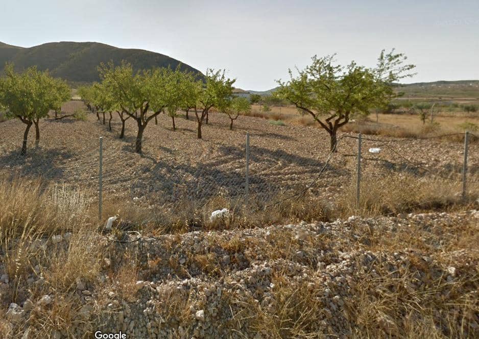 Bauplatz zu verkaufen in Orihuela - 15.000 € (Ref: 10060368)