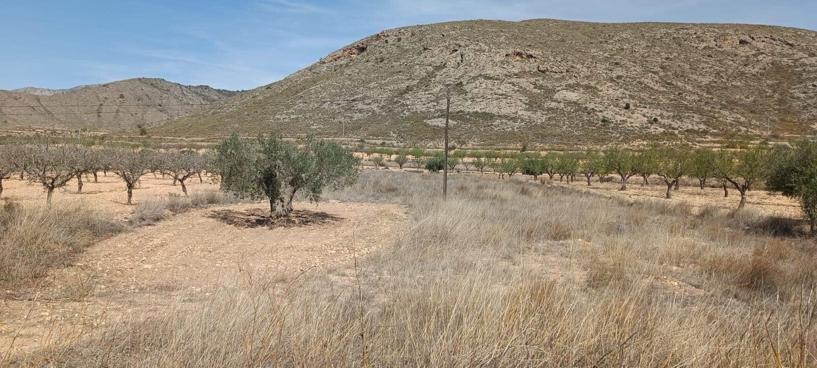 Byggetomt til salgs i Orihuela - € 10 000 (Ref: 10060369)