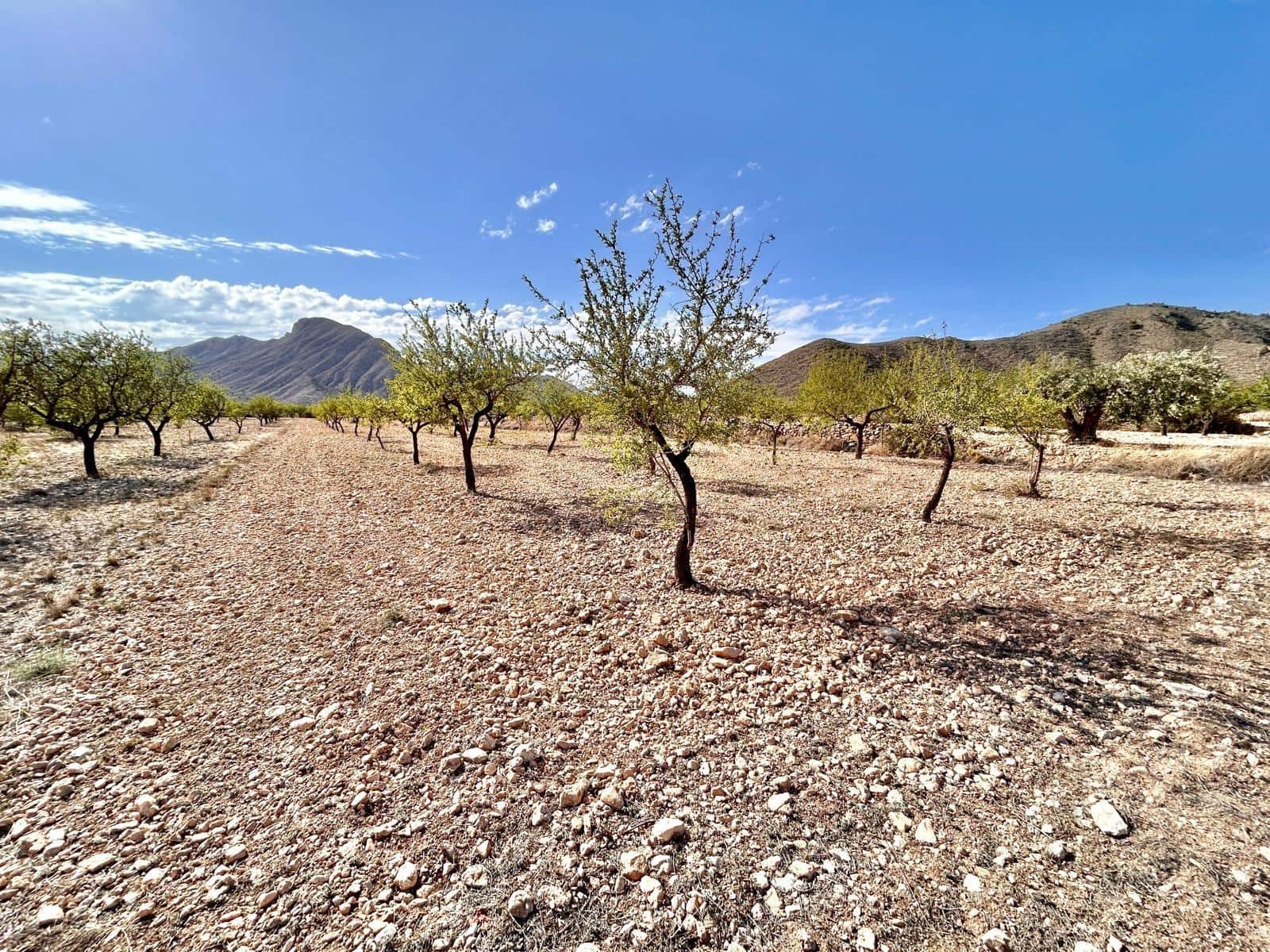 Solar/Parcela en Orihuela en venta - 49.000 € (Ref: 10060370)
