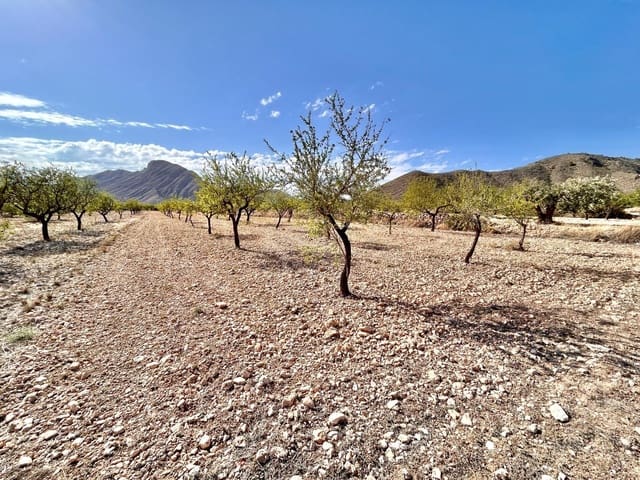 Solar/Parcela en La Murada - Los Vicentes, Orihuela en venta - 49.000 € (Ref: 10060370)