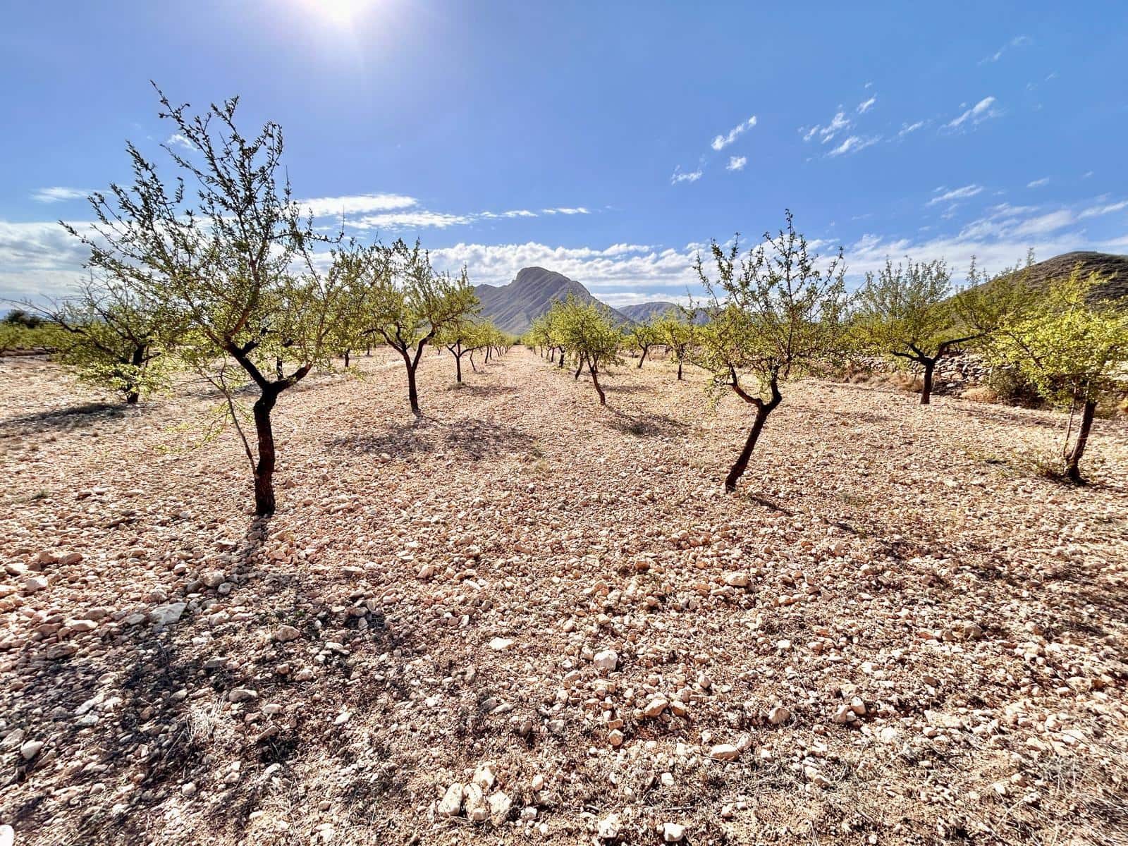 Bauplatz zu verkaufen in Orihuela - 15.000 € (Ref: 10060372)