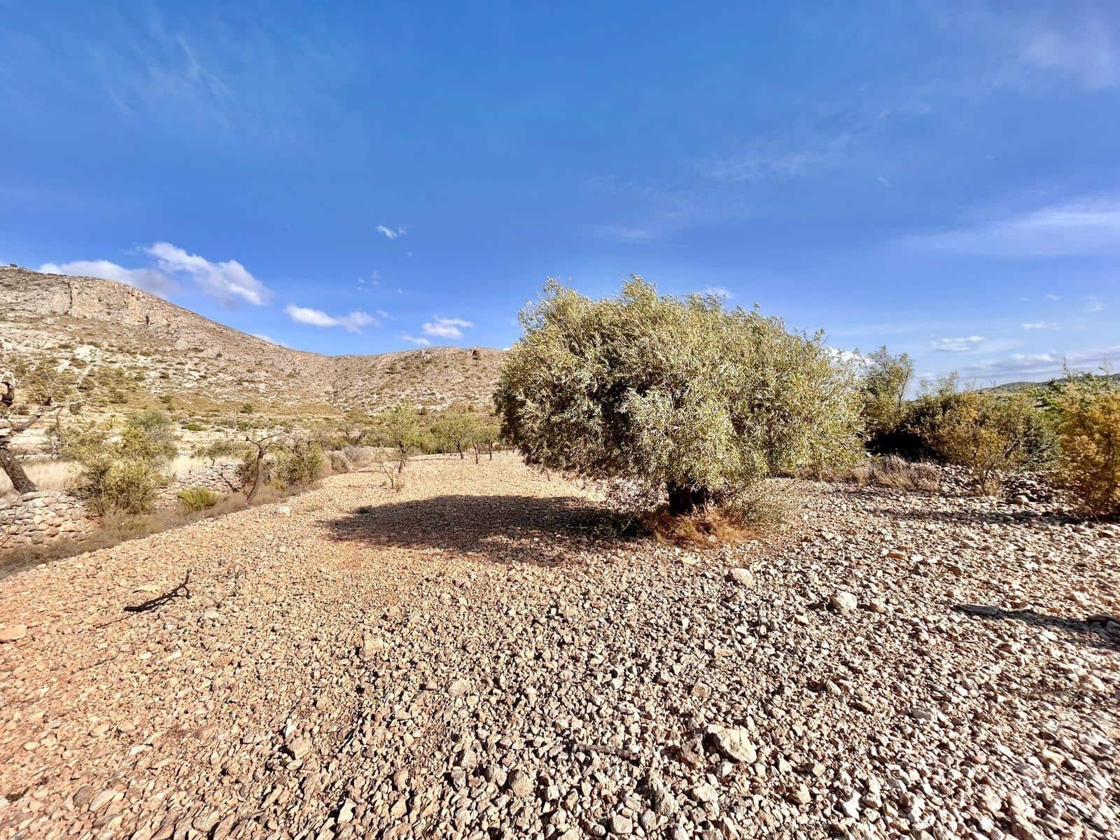 Byggetomt til salgs i Orihuela - € 11 000 (Ref: 10060373)