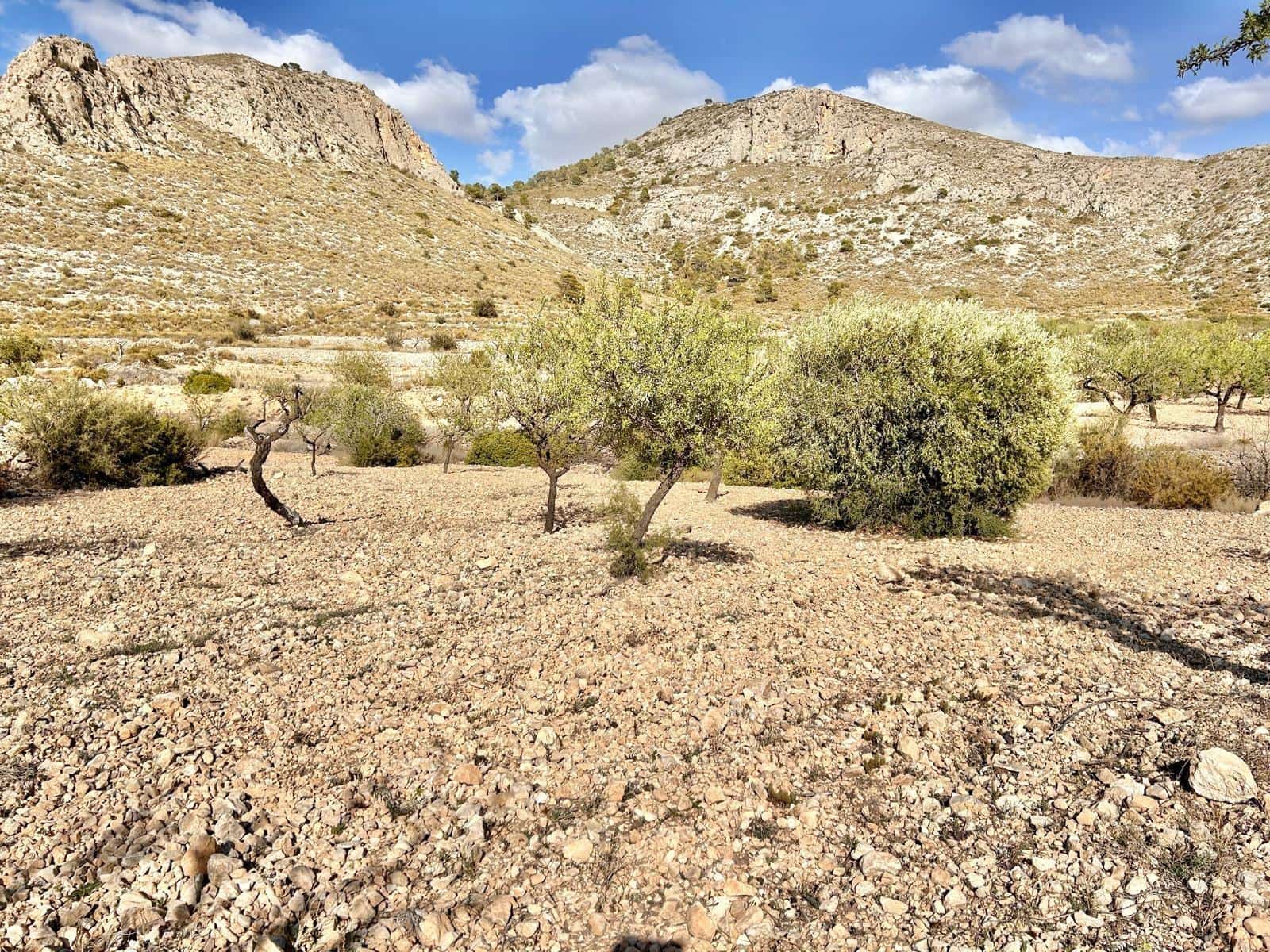 Byggetomt til salgs i Orihuela - € 11 000 (Ref: 10060373)