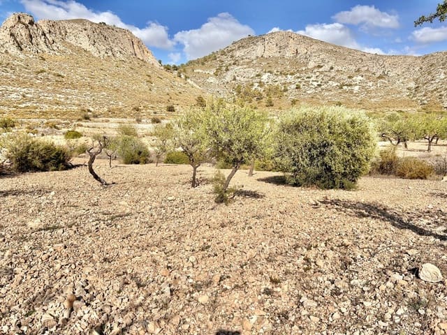 Bauplatz zu verkaufen in La Murada - Los Vicentes, Orihuela - 11.000 € (Ref: 10060373)