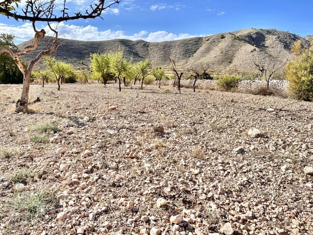Bauplatz zu verkaufen in La Murada - Los Vicentes, Orihuela - 11.000 € (Ref: 10060373)