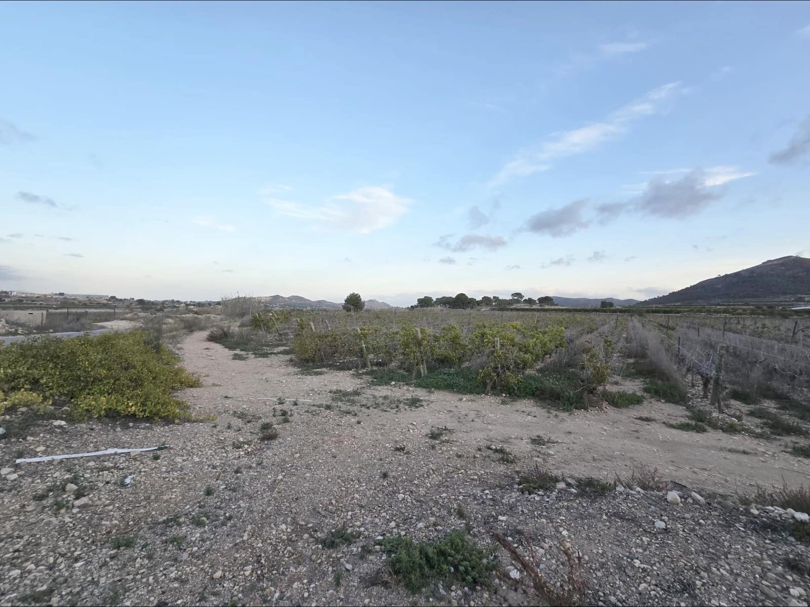 Area Edificabile in vendita in La Romana - 61.000 € (Rif: 10060383)