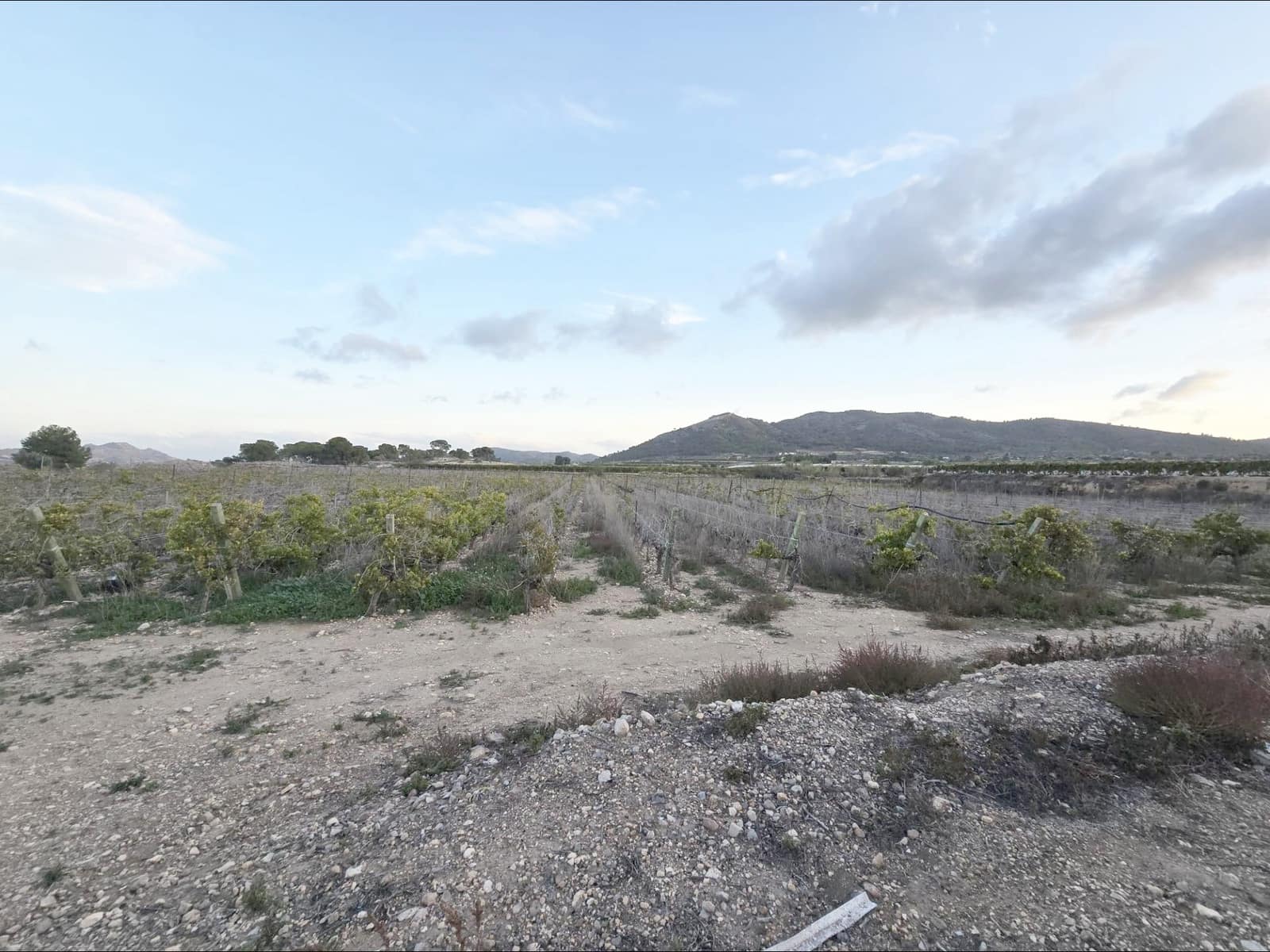 Area Edificabile in vendita in La Romana - 61.000 € (Rif: 10060383)