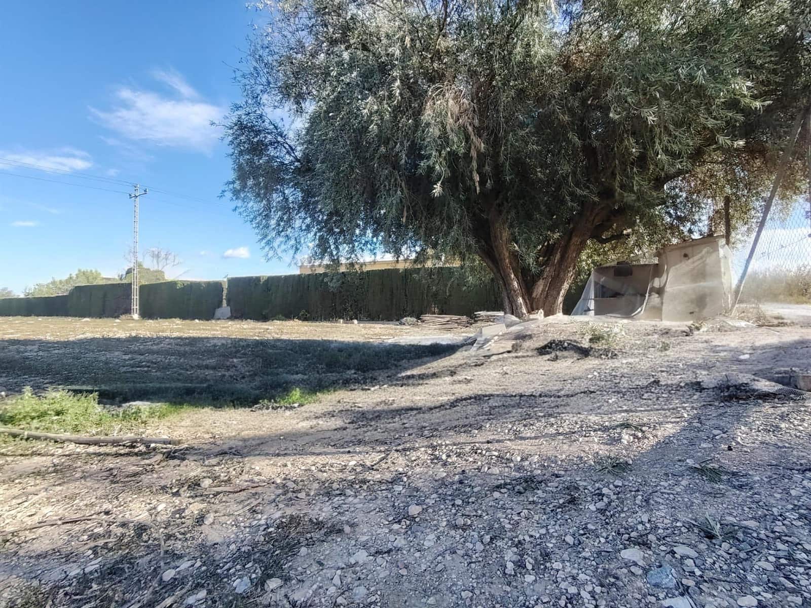 Building Plot for sale in Novelda - € 36,260 (Ref: 10060391)