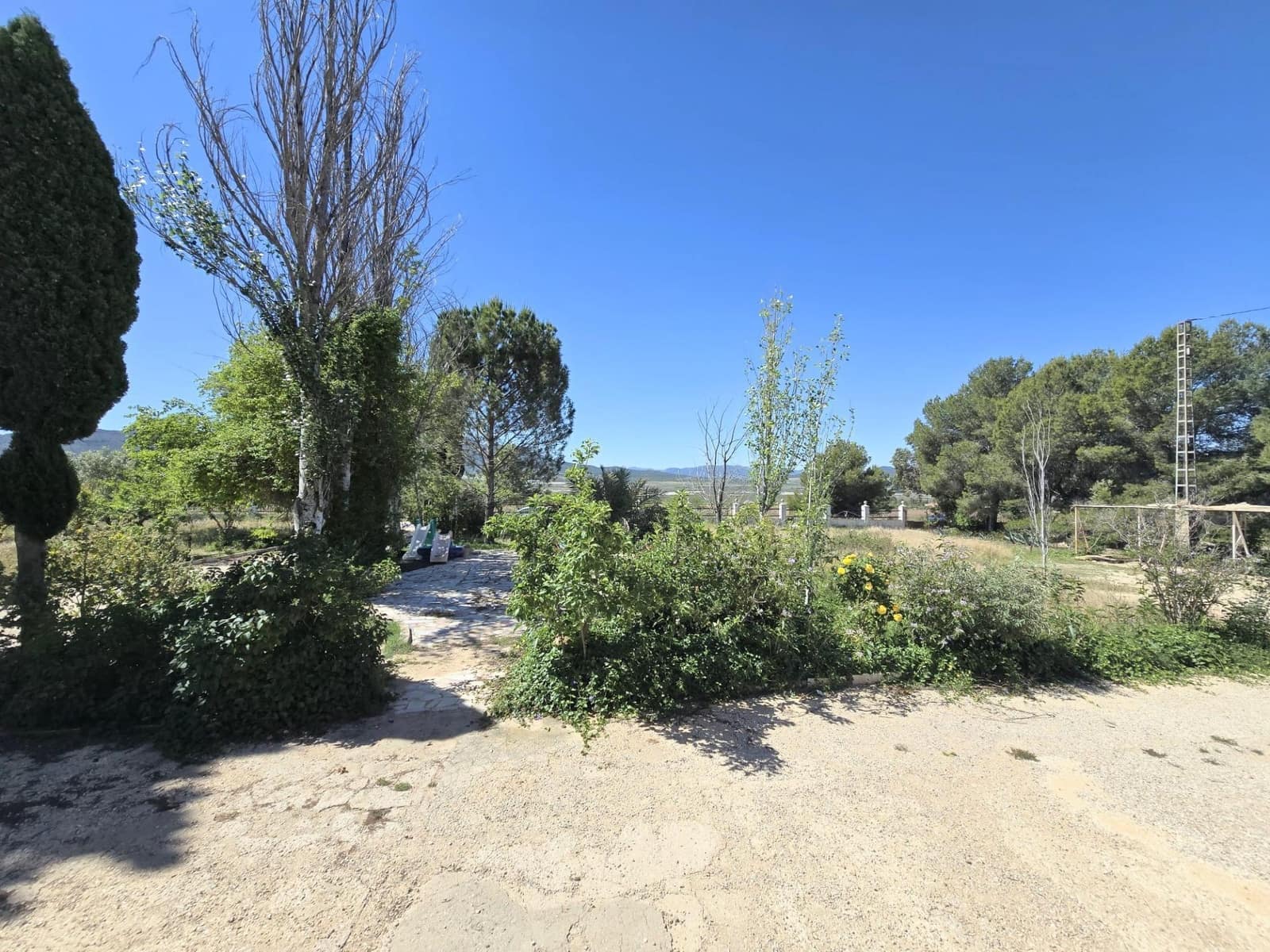 4 chambre Finca/Maison de Campagne à vendre à Salinas avec piscine garage - 299 000 € (Ref: 10060408)