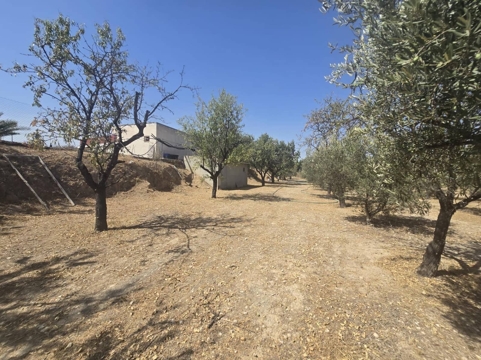 3 sovrum Finca/Hus på landet till salu i Aspe med pool garage - 259 100 € (Ref: 10060417)