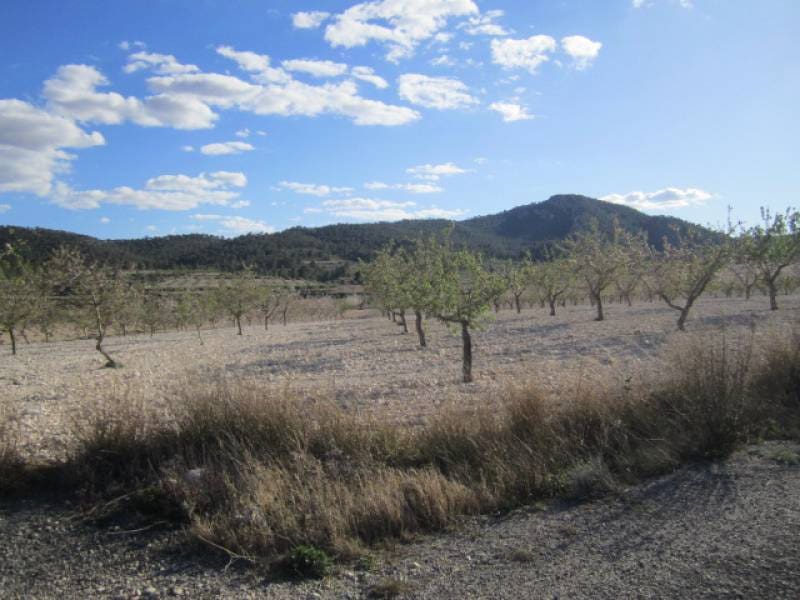 7 bedroom Finca/Country House for sale in Salinas - € 625,000 (Ref: 10060420)