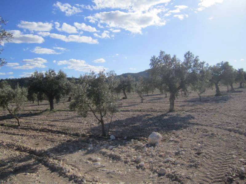 7 bedroom Finca/Country House for sale in Salinas - € 625,000 (Ref: 10060420)