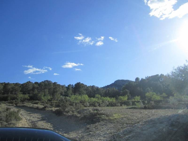 7 bedroom Finca/Country House for sale in Salinas - € 625,000 (Ref: 10060420)