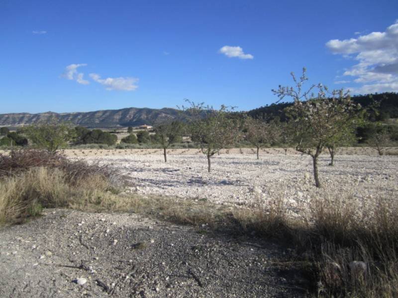 7 bedroom Finca/Country House for sale in Salinas - € 625,000 (Ref: 10060420)