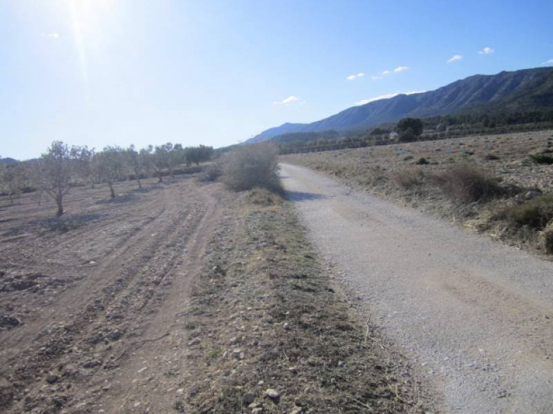 7 bedroom Finca/Country House for sale in Salinas - € 625,000 (Ref: 10060420)