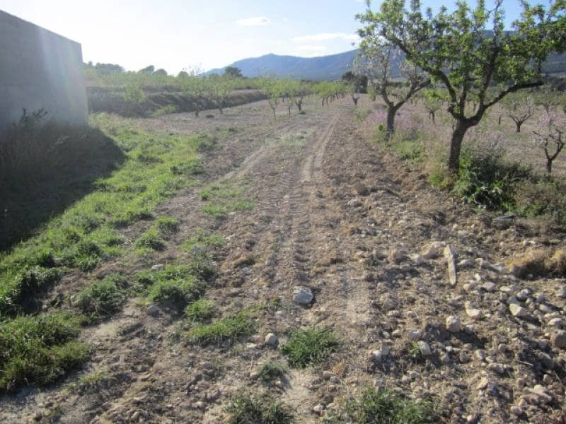 7 bedroom Finca/Country House for sale in Salinas - € 625,000 (Ref: 10060420)